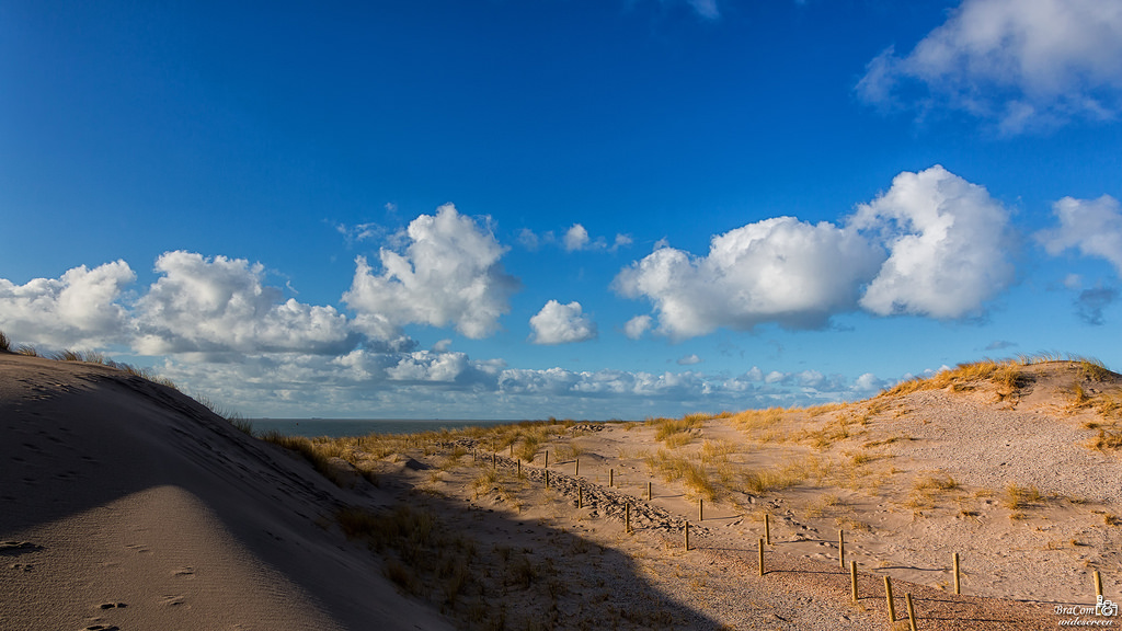bracom, Sky, Wolk, klitter, Duinen, hegn, hek, poler, Palen, sand, zand, skygger, schaduw, sti, pad, hav, Zee, Rotterdam, Maasvlakte, maasvlakte2, Noordzee, Nordsøen, zuidholland, nederland, southholland, Holland, holland, canoneos5dmkiii, widescreen, Canon, 169, canonef24105mm, bramvanbroekhoven, maasvlakterotterdam, nl