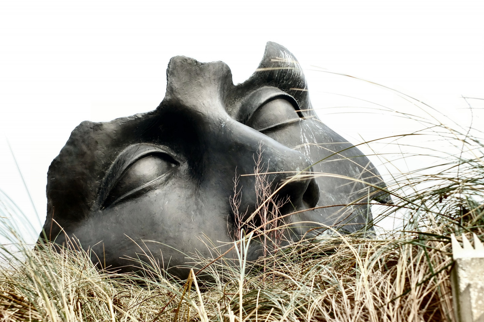 tráva, pláž, muzeum, Haag, Scheveningen, pramen, kust, denhaag, thehague, čenich, Beeldenaanzee, Igormitoraj, Lahaye, Museumbeeldenaanzee