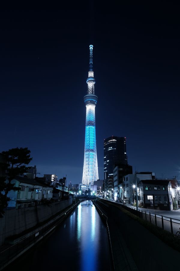 city,cityscape,night,architecture,reflection,Japan