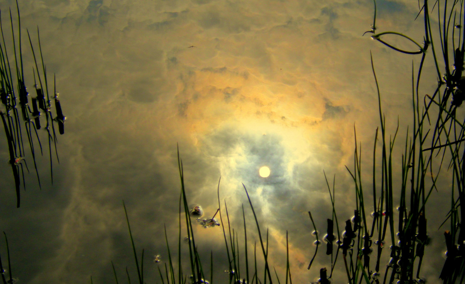 lys, himmel, Sol, farver, skyer, sammensætning, Dam, tags, Citypark, waterreflection, ohne, Wiener Neustadt, photographystudy, spring2011, nokoncoolpixp50