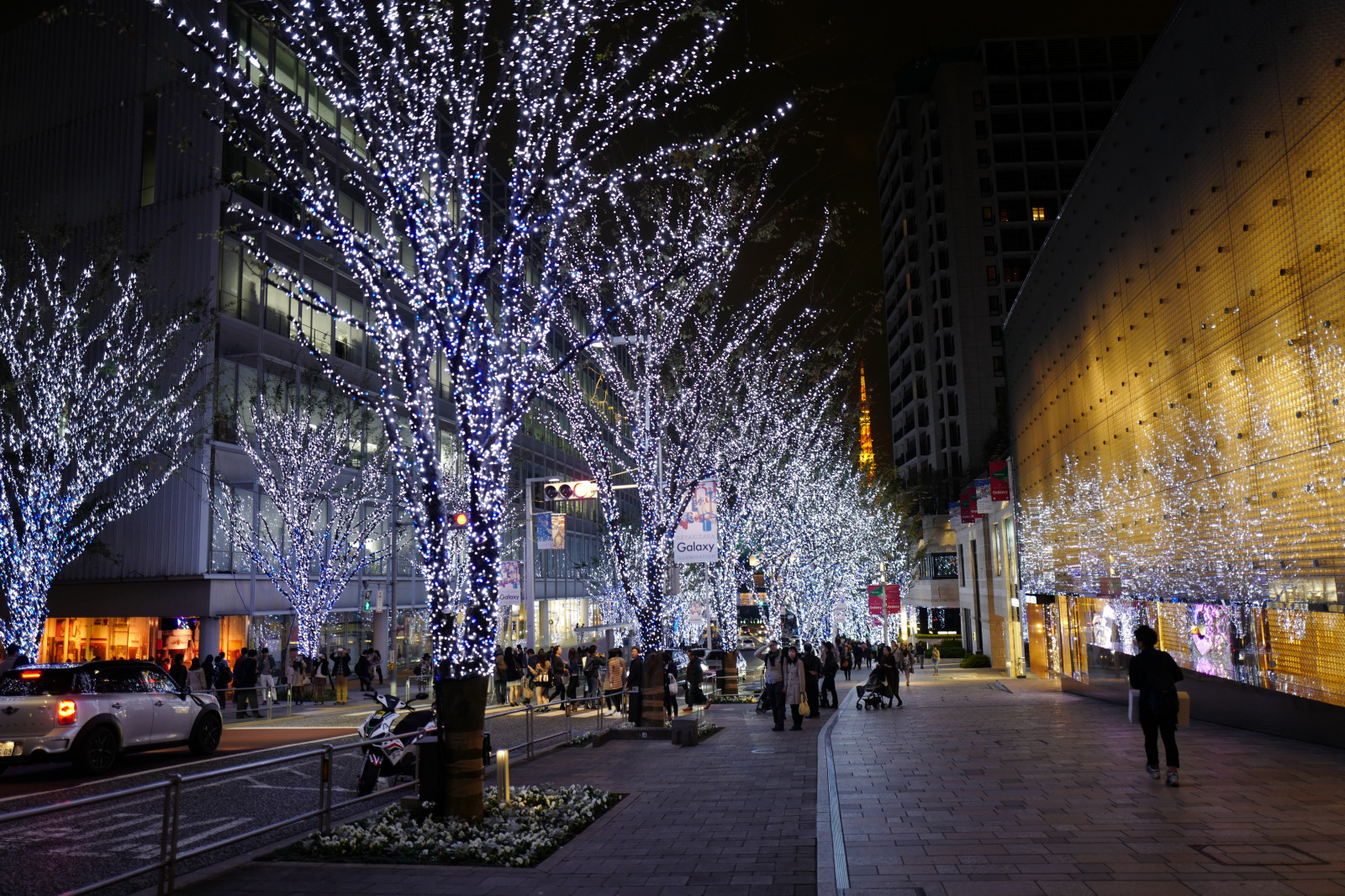 Japan, by, bybilledet, nat, arkitektur, aften, tårn, julelys, Leica, Tokyo, Jp, lys, træ, belyst, belysning, belysning, milepæl, Tokyo Tower, keyakizaka, summilux, leicaq, summilux1728, q, 1728, ropponngi, byområde, juledekoration