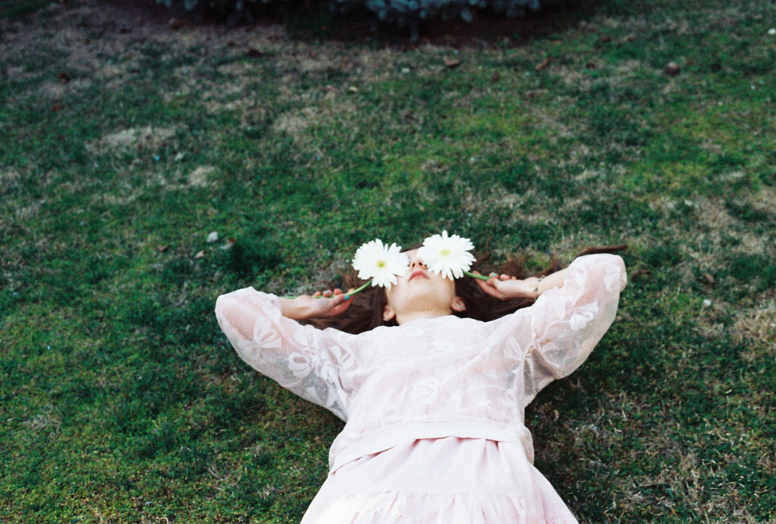 bílý, oči, květiny, tráva, šaty, zelená, letní, vinobraní, růžový, štěstí, jaro, 35MM, strom, květ, rostlina, dívka, usměj se, zábava, retro, nevěsta, film, louka, prošlý, talár, obřad, gerbera, zavřít