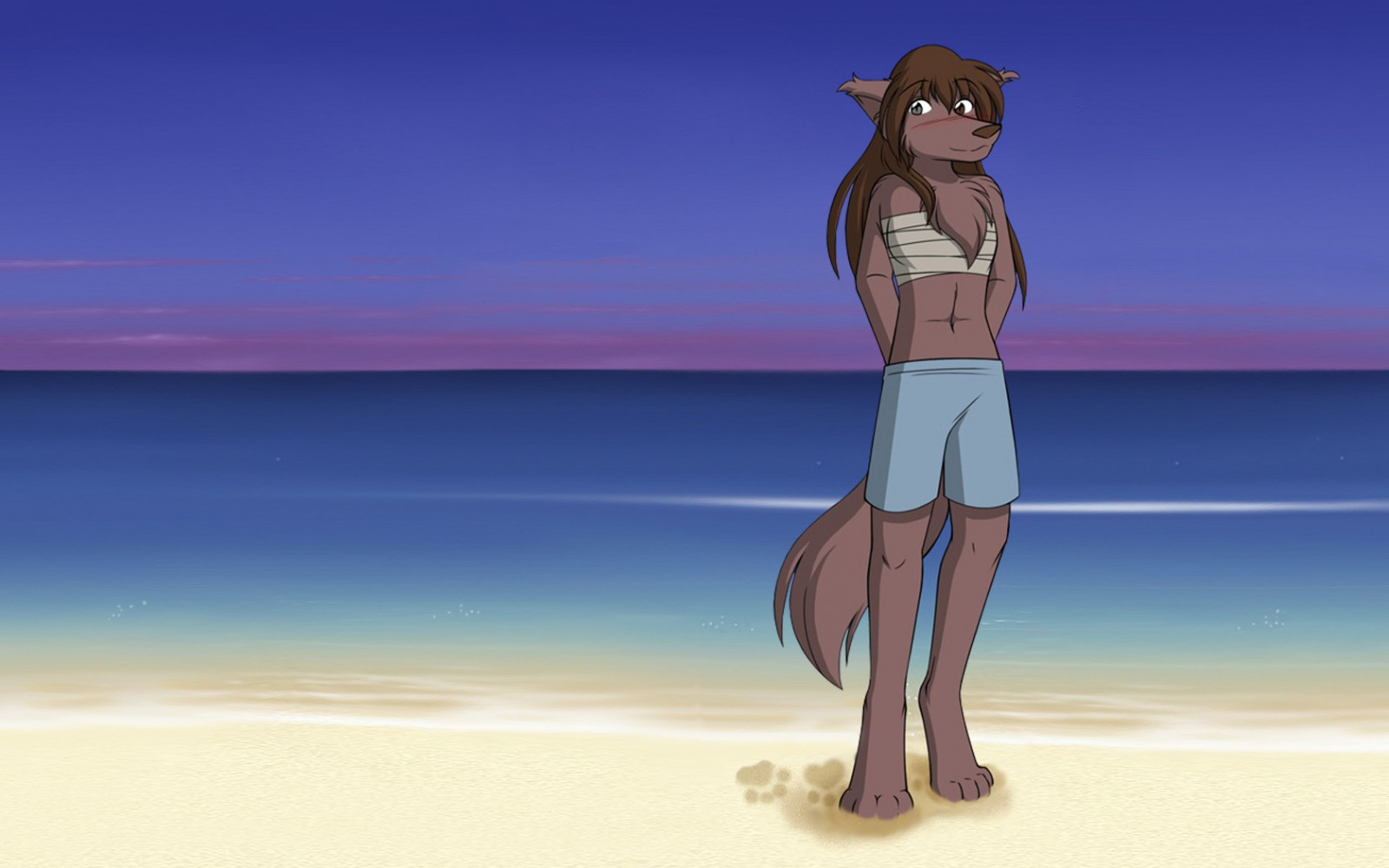 1680x1050像素, Anthros, 毛茸茸的, 十二点