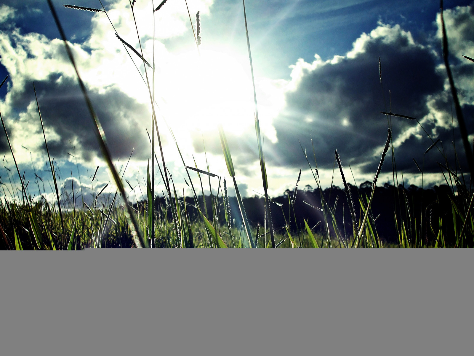 slunečnímu záření, voda, Příroda, odraz, tráva, nebe, mraky, zelená, modrý, plot, Brazílie, azul, Brasil, elektřina, světlo, mrak, strom, list, rostlina, přírodní, čára, natureza, 1001nights, pordosol, verde, mato, tráva rodina, Grama, luznatural, entardecer, CEU, home oplocení