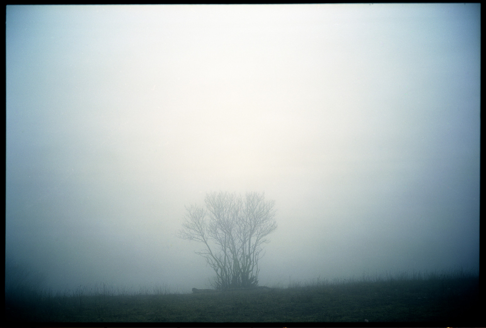 sollys, landskab, afspejling, himmel, solopgang, morgen, tåge, Sol, horisont, atmosfære, umbrien, dis, lys, Sky, træ, tåge, vejr, daggry, Italia, analog, form, fuji, film, Froid, atmosfærisk fænomen, atmosfære af jord, Reala, Spello, Subasio, gw690ii