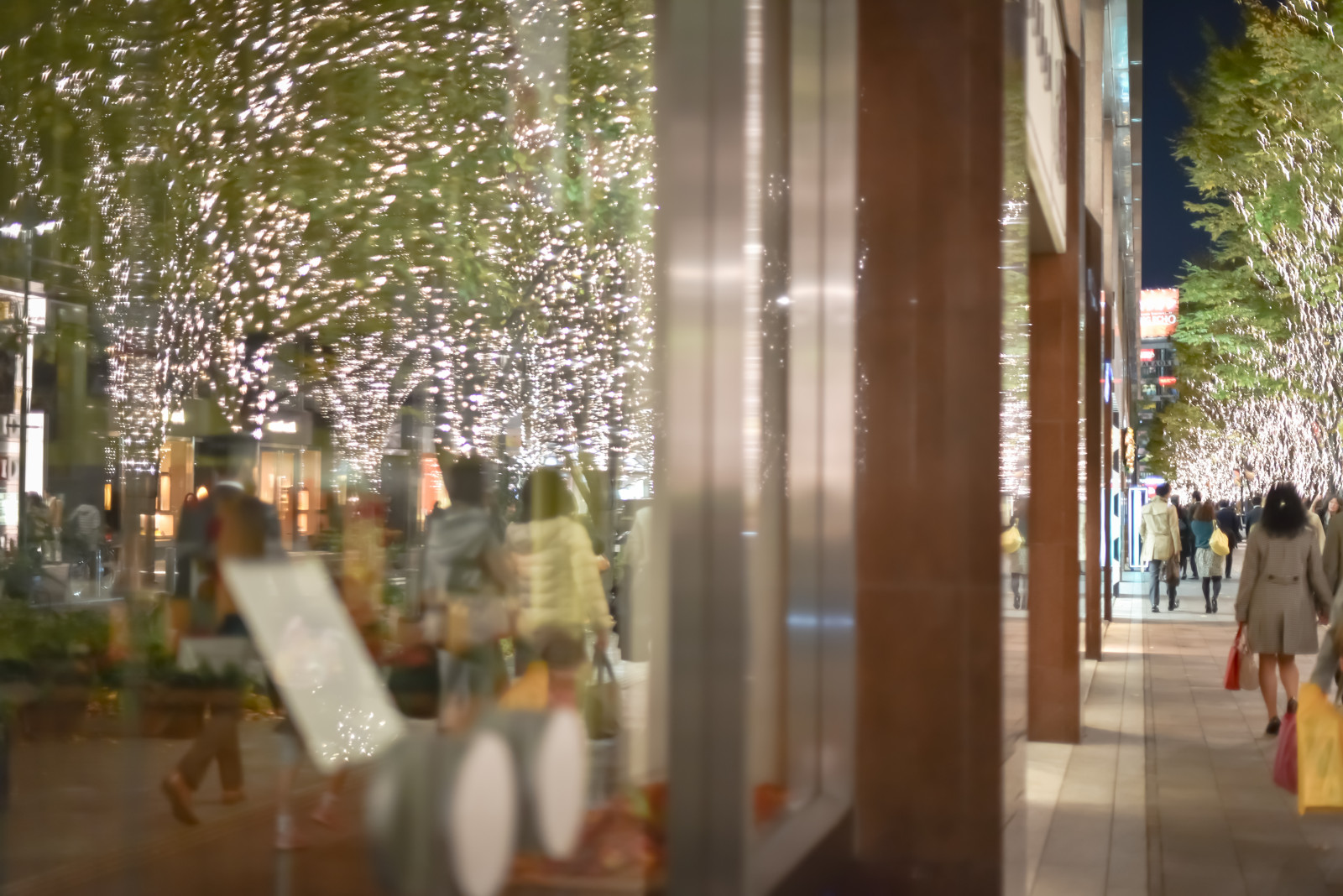 Japonsko, noc, městský, Nikon, Vánoce, Tokio, F14, D750, NIKKOR, 50mm, květ, osvětlení, chicaco11, Tokyourbannight, ulička