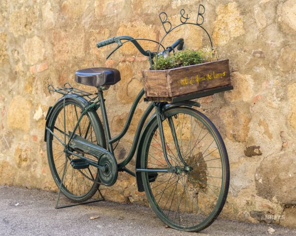 bicycle, vehicle, cycling, portrait, window, arch