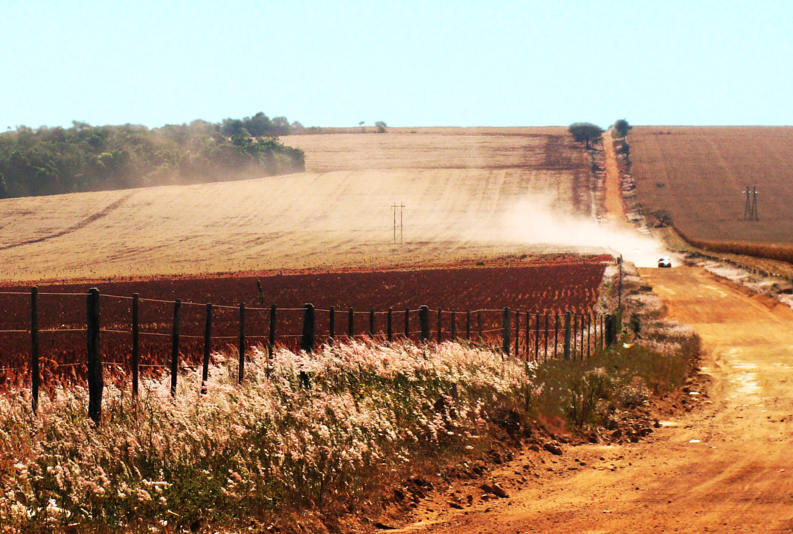 krajina, auto, nebe, pole, silnice, hospodařit, poušť, prach, plot, Brazílie, Řídit, řidičský, suchý, den, Rychlost, Průhledná, zemědělství, horký, GOI nia, GOI s, cerrado, půda, venkov, přírodní prostředí, dávná historie
