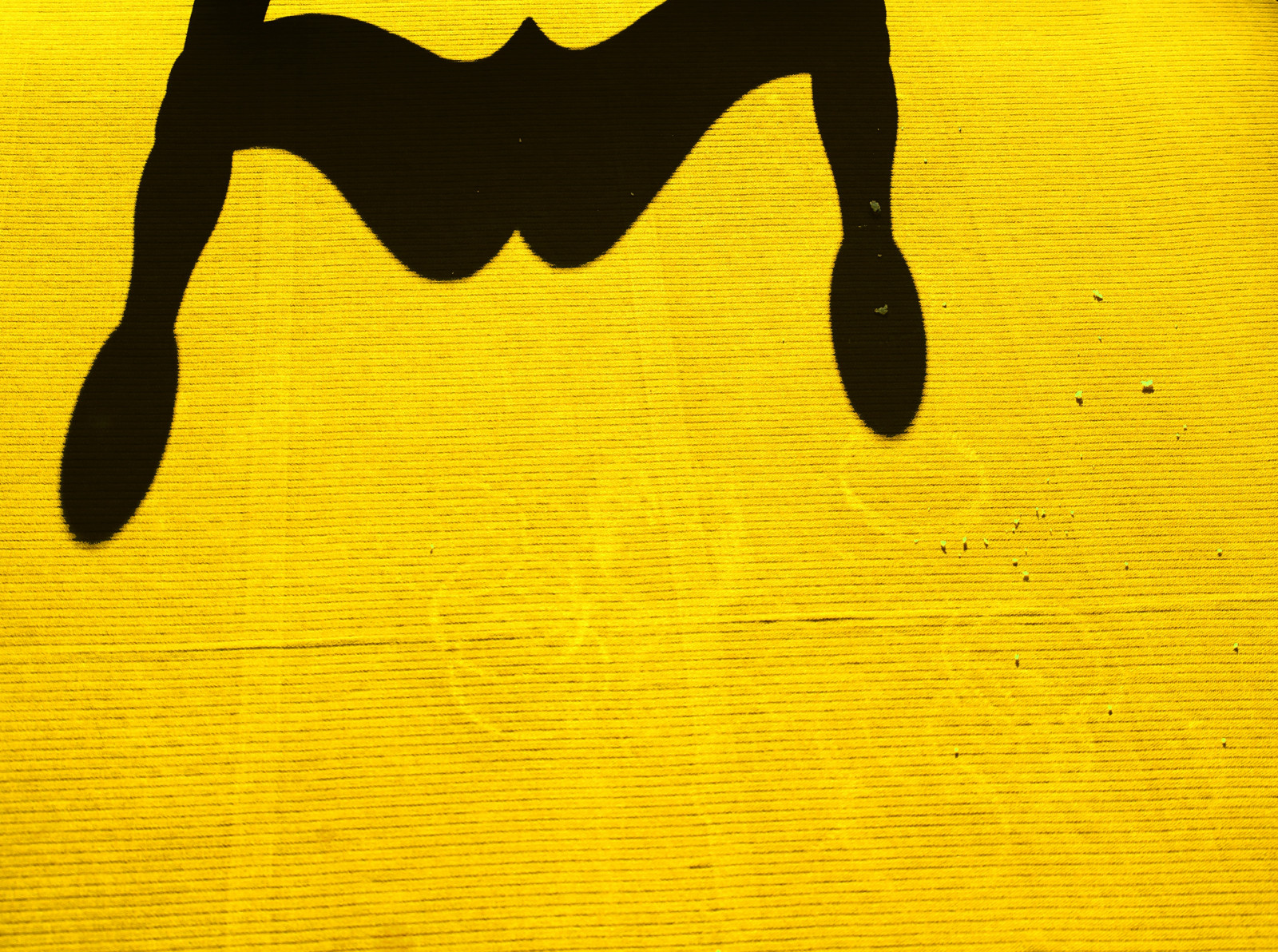 Černá, ilustrace, nebe, stín, silueta, stůl, žlutý, židle, slunce, dort, 2013, prozkoumat, čára, podrážka, giallo, Ombra, gelb, grafika, počítač tapeta, Černý a bílý, font, santamargherita, Sedia, drobky, torta, Tavolo, briciole, visual arts