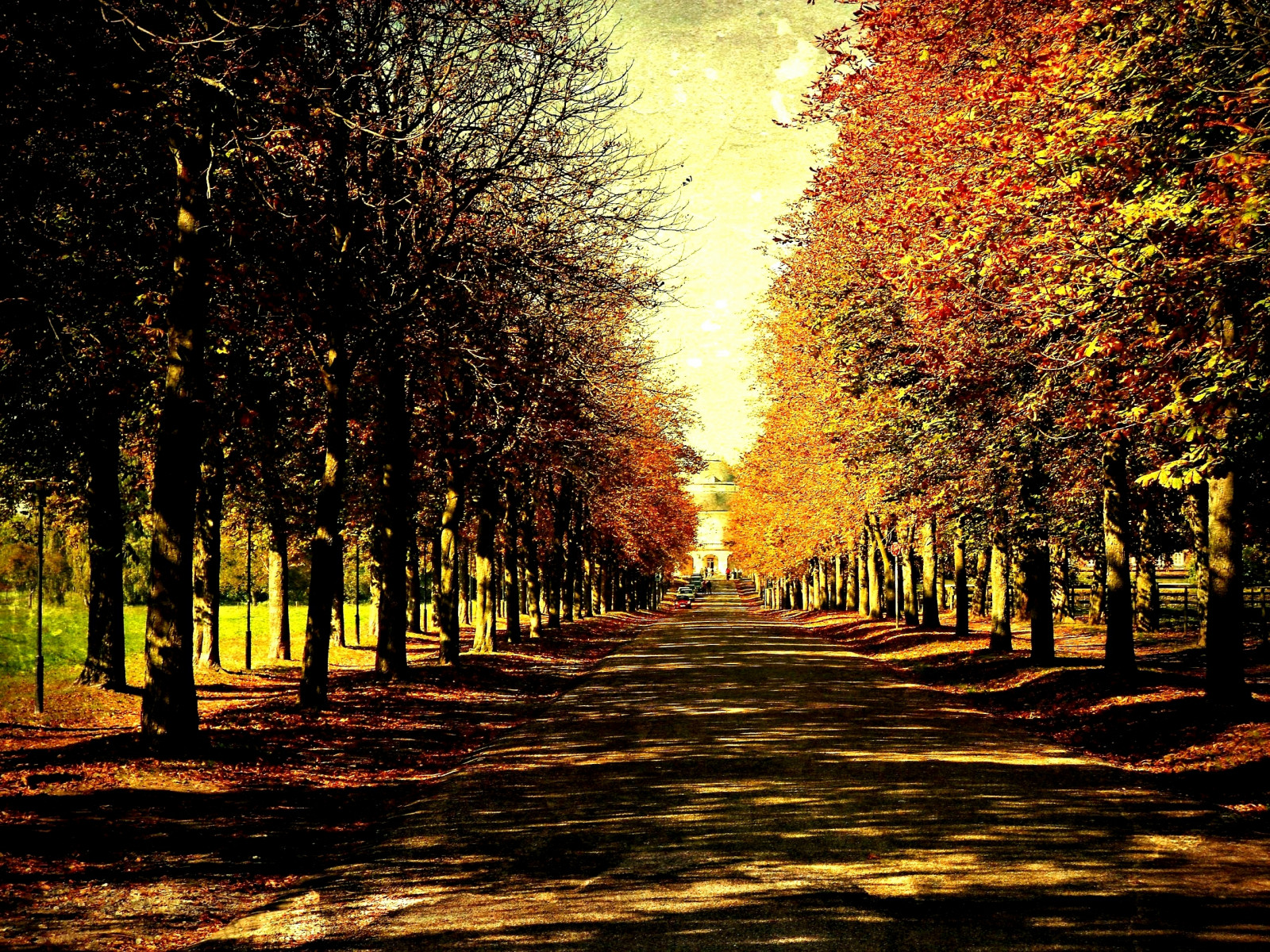 slunečnímu záření, krajina, les, západ slunce, zahrada, noc, Příroda, odraz, park, večer, ráno, paysage, světlo, strom, podzim, list, Landschaft, rostlina, sezóna, paisaje, natur, centrální, textur, jardin, Herbst, autunno, samota, roba66, naturalezza, effecte, zálesí, garten, IML ndle, allee, robatop, atmosférický jev, dřevina, Pfad, Bádensko-Württembersko