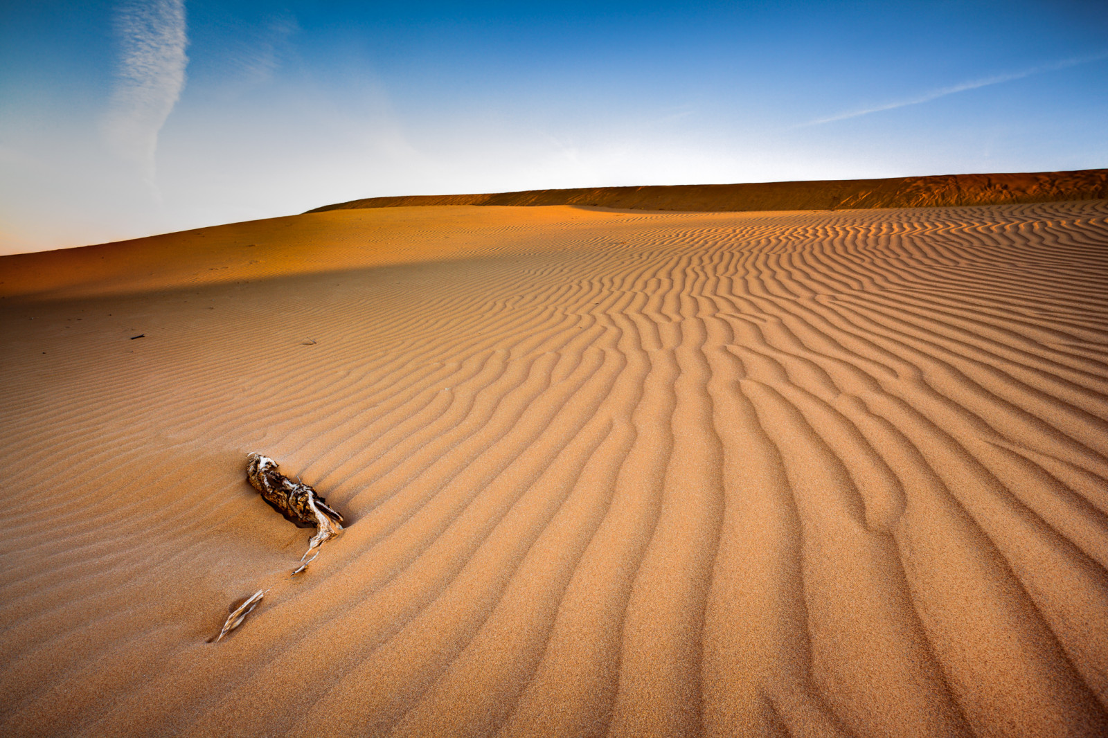 2048, 32, 3xp, canoneos5dmarkii, gavowen, HDR, perrysandhills, photomatixpro, eftermiddag, blå, klit, exposureblend, gylden, goldenhour, jettrail, landskab, minimalisme, Outback, udendørs, mønstre, ribbet, sand, fredfyldte, træ, gul, Wentworth, New South Wales, Australien, geo state newsouthwales, exif åbningen 14, geo land australien, Kameramodel canoneos5dmarkii, exif focallength 20mm, exif isospeed 100, Exif model canoneos5dmarkii, geo byen Wentworth, Geo placering perrysandhills, Geo lon 14186949724951, Exif objektiv ef1740mmf4lusm, Geo lat 34100720991281