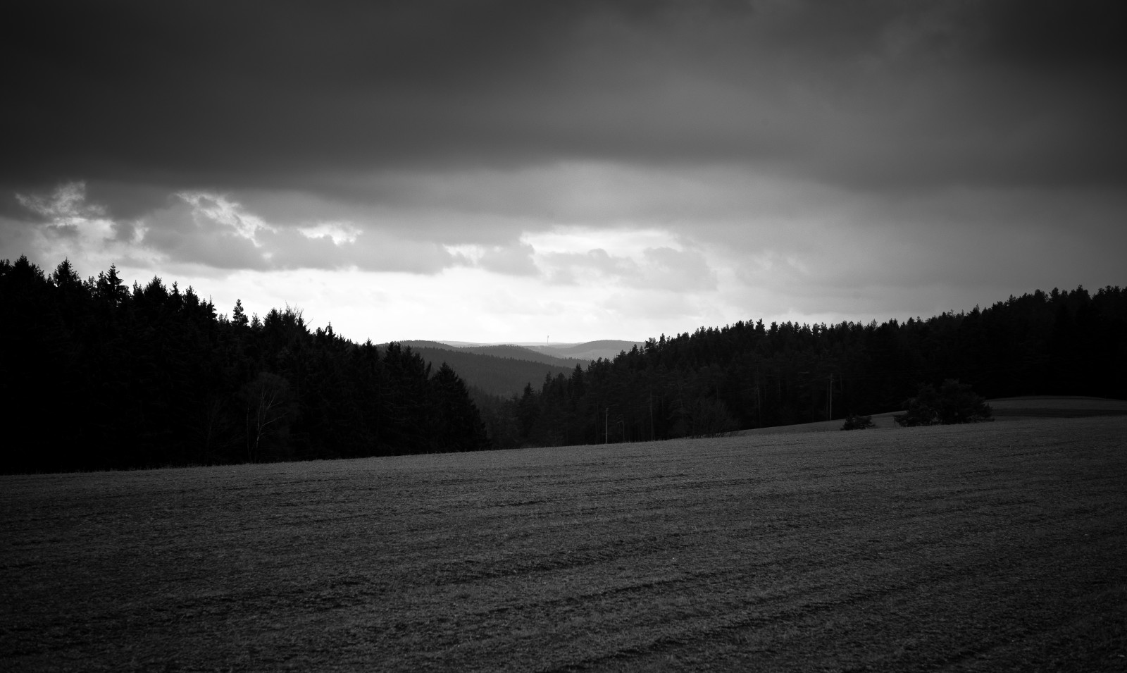 Hintergrundbilder Leica Holz B ume Bw Wei Berg Schwarz Berge 