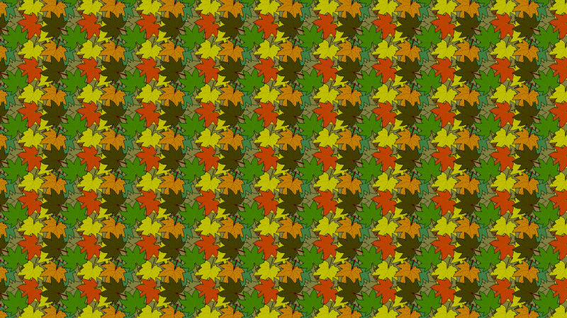 rostlina,groundcover,tráva,UMĚNÍ,symetrie,duha