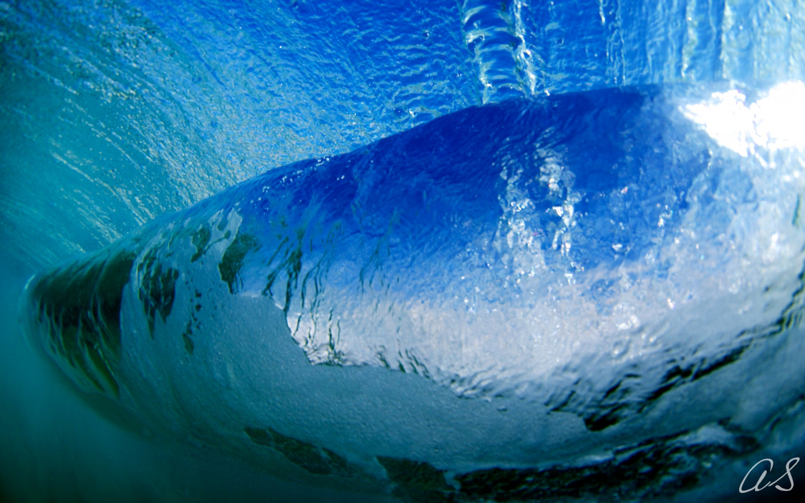 moře, voda, pláž, Ryba, modrý, Pod vodou, Sydney, aqua, Velký bílý žralok, Hlaveň, oceán, vlna, mořská vlna, mořská biologie, Lamniformes, organismus, canon5dmk3, Lamnidae, aaa, bondi, vodní zdroje, arlsphoto