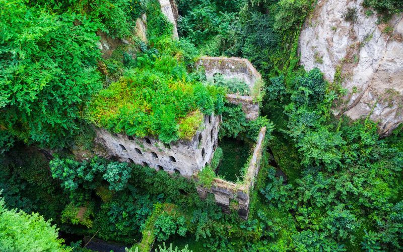 nature,green