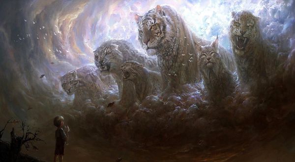 cats,boy,predators,grin,fog
