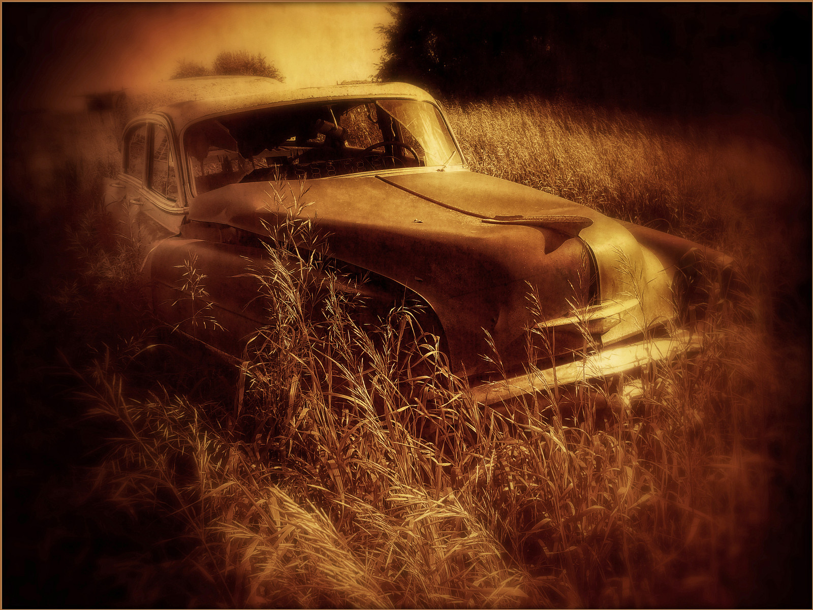 slunečnímu záření, starý, noc, auto, opuštěný, odraz, fotografování, ráno, rez, textura, Spojené státy americké, rozklad, Chevrolet, Minnesota, Chevy, světlo, tma, texturized, Snímek obrazovky, tatot, počítač tapeta, makro fotografie, Butterfield, magicunicorn