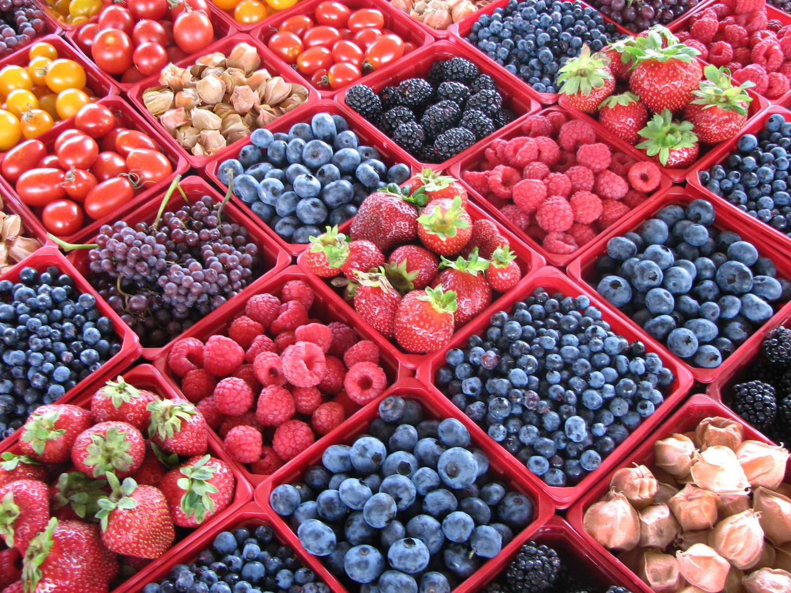 cibo, verde, marcire, frutta, rossetto, Groen, blauw, viola, Blu, fragole, vert, uva passa, Tomati, mirtillo, uva, malva, Grun, blau, Jeantalon, Baie, beeren, croce, pomodori, marche, tomaten, verdes, Blauette, Fresas, Trauben, baie, erdbeeren, Verdi, Uvas, azules, Uve, Aardbeien, Fraises, Fragole, rojos, Myrtille, Druiven, rosse, Blaubeere, Baies, Myrtilles, Terrestri, Mirtillo, Top20foodmmmm, Mirtilli, Ar ndanos, Ar ndano, Cerisesdeterre, flickraward, Colormalva, Decolordemalva, Blauwebosbessen, Uvadomonte, Erdkirschen, Cerezasdetierra, Ciliegediterra, Kersenvanaarde, Malvenfarbe, Gr nebeeren