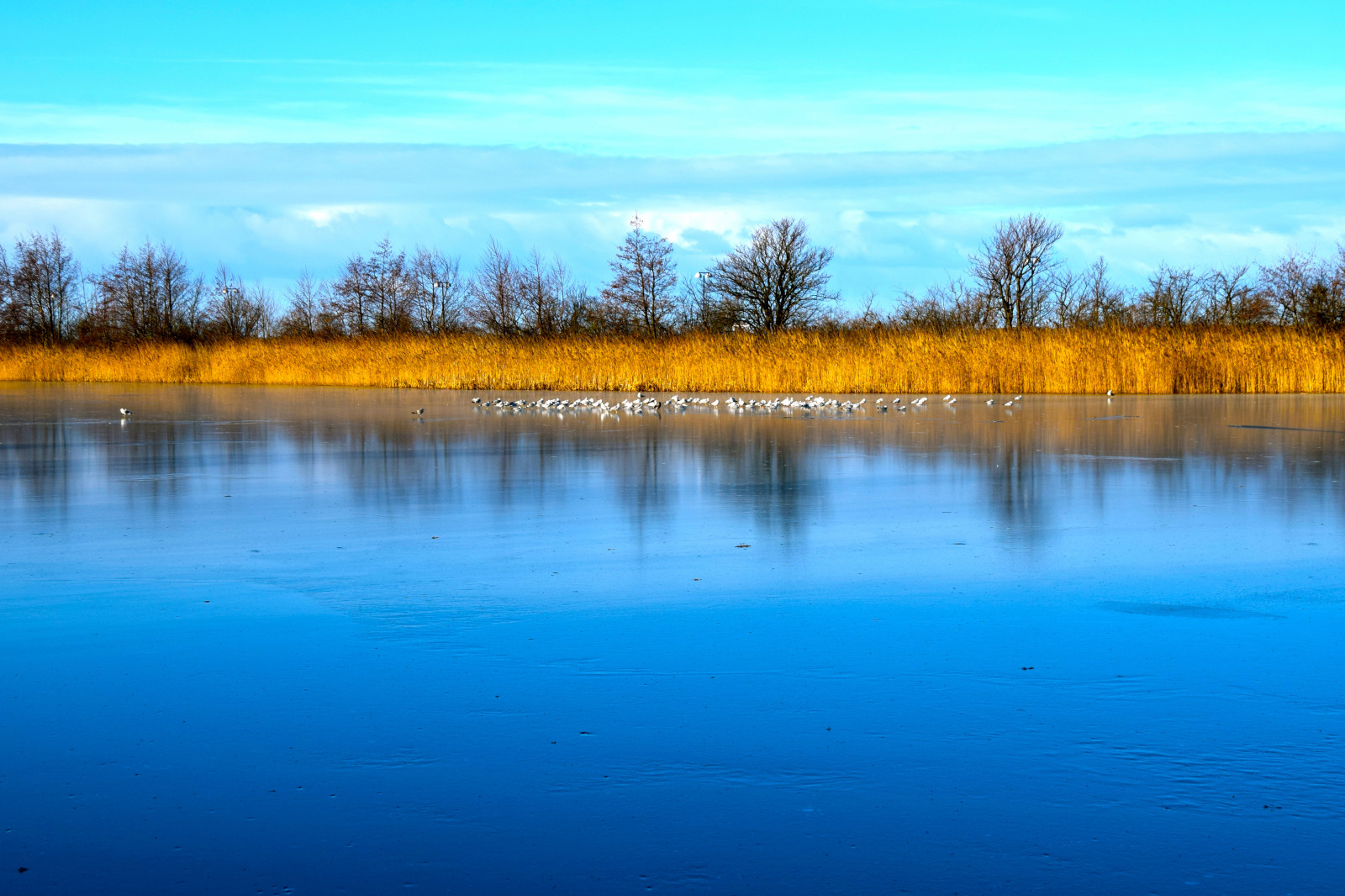 Fond d'écran paysage, Lac, eau, la nature, réflexion, ciel, lever du