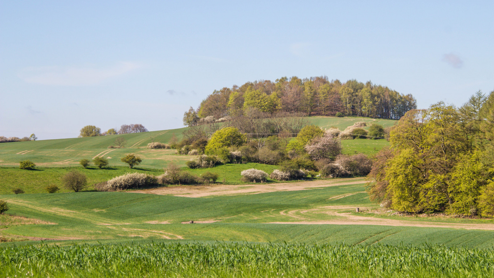 krajina, kopec, tráva, pole, struktura, plošina, kurz golfu, strom, lučina, venkov, pastvina, landsbygd, landsckap, zemědělství, louka, prostý, trávník, prérie, venkov, geografický rys, sportovní dějiště, neloupané pole, golfový klub
