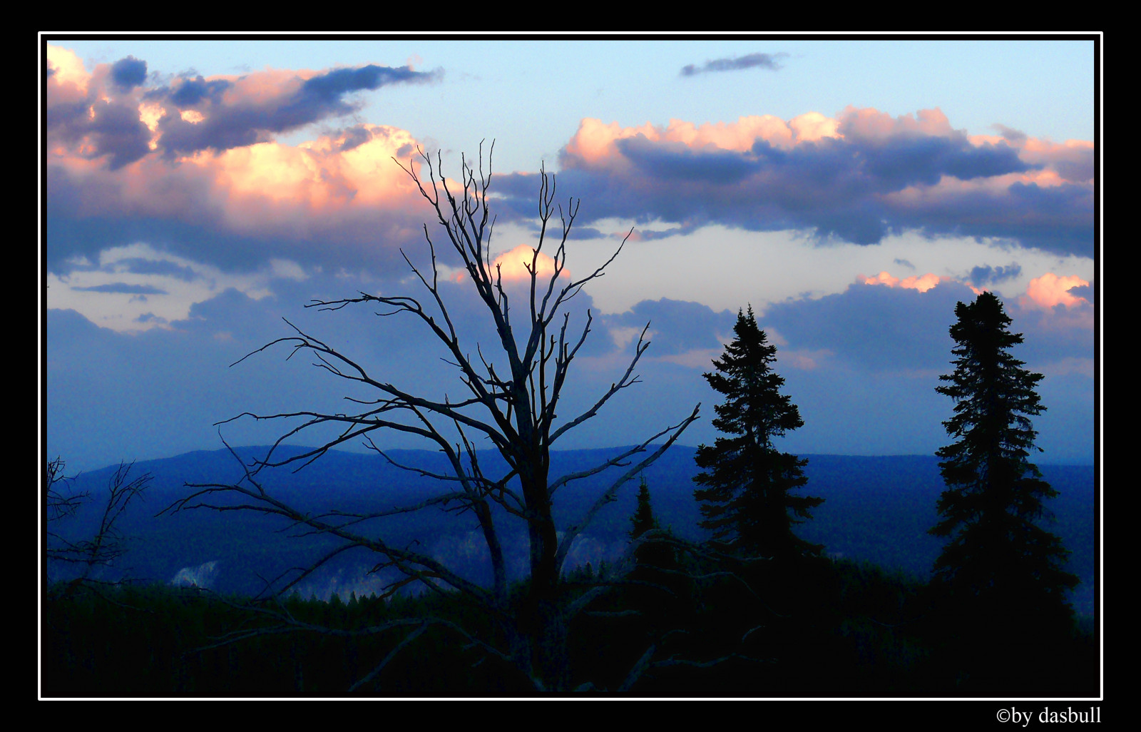 slunečnímu záření, stromy, hory, temný, západ slunce, Příroda, odraz, tráva, nebe, mraky, svítání, modrý, kopce, večer, ráno, slunce, horizont, atmosféra, soumrak, stříbrný, Wyoming, Panasonic, děsivý, světlo, mrak, strom, svítání, větve, načechraný, atmosférický jev, FZ50, meteorologický jev, dasbull, ronbonell, Yellowstone, lóže, roosevelt, podšívka