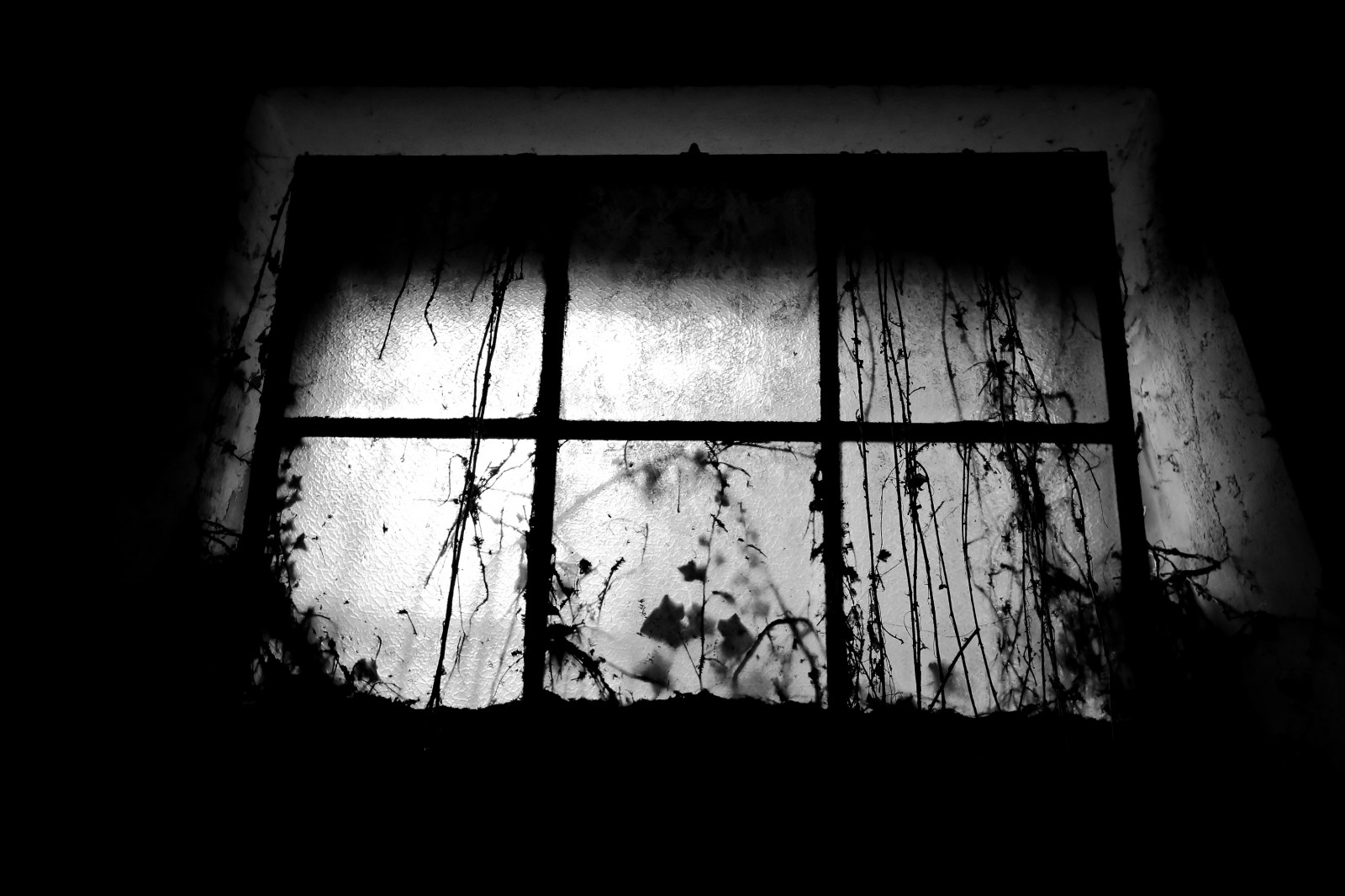Černá, černobílý, okno, temný, architektura, strašidelný, hrůza, opuštěný, nebe, fotografování, symetrie, krev, sama, textura, atmosféra, smrt, osamělost, peklo, duch, NEMOCNICE, duchové, prázdný, koupel, úhel, světlo, stíny, pavouci, nebe, tma, místa, přítomnost, vykotlaný, azyl, násilí, strach, pásy, struktury, počítač tapeta, Černý a bílý, monochromatické fotografování, zátiší fotografování, Mombello, jev, utrpení, napětí, sprchy, pokoje, úpadkový, Stránek, Posti, trpět, Azylů, Abbandonati, Ospedali, Návrh, Bertagnetta, stock photography