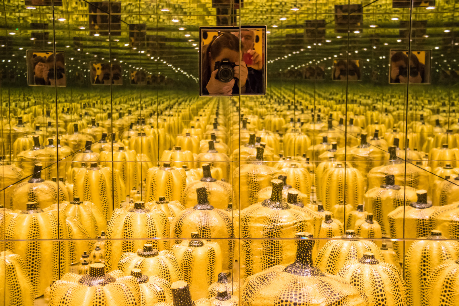 město, muzeum, Dánsko, Louisiana, květ, konst, Danmark, výstava, UTST llning, yayoikusama, exif modelu canoneos760d, geocountry, Kamera aby kánon, geocity, Model fotoaparátu canoneos760d, geostate, geolocation, EXIF čočka efs18200mmf3556is, exif aby kánon, exif focallength 35mm, EXIF otvor 45, exif isospeed 3200, museumofmodernart, iuendeligheden, zemědělství