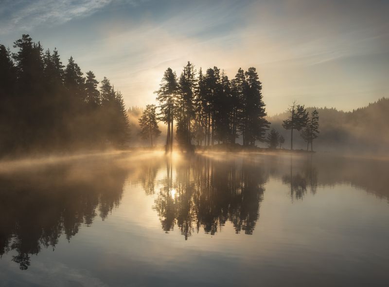 slunečnímu záření, stromy, krajina, les, západ slunce, jezero slunečnímu záření, stromy, krajina, les, západ slunce, jezero