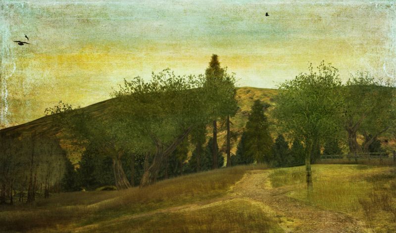 landskab,maleri,træ,træer,morgen,efterår