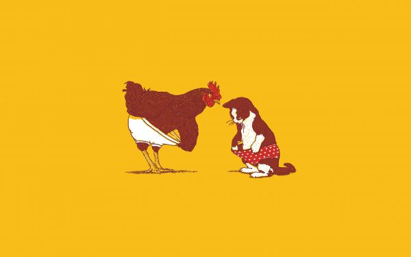 2560x1600 px,cats,minimalistic,artwork,background,humor