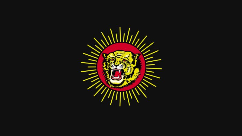 1920x1080 px, vlajka, Naam Tamilar, NTK, tamil nadu, tygr 1920x1080 px, vlajka, Naam Tamilar, NTK, tamil nadu, tygr