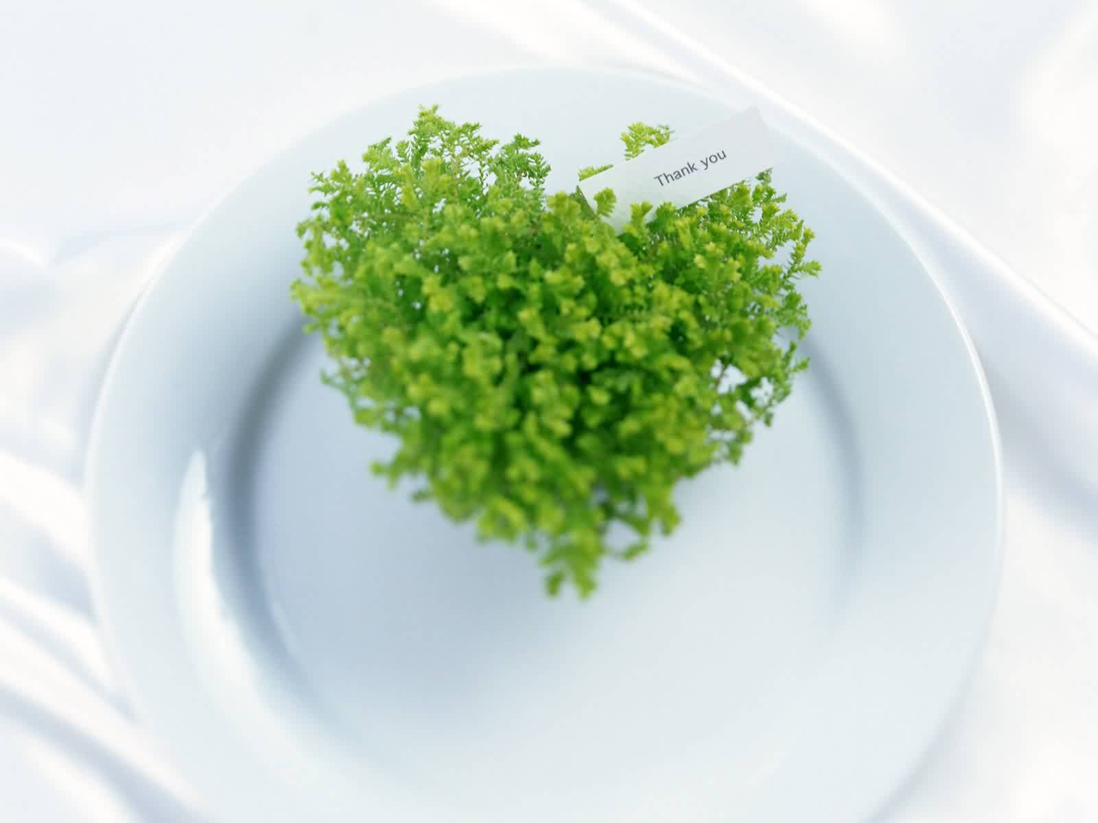 Wallpaper : 10706, 1600x1200 px 1600x1200 - goodfon - 1778011 - HD