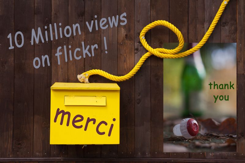 rouge,jaune,signe,Couleur,Stilleben,Flasche