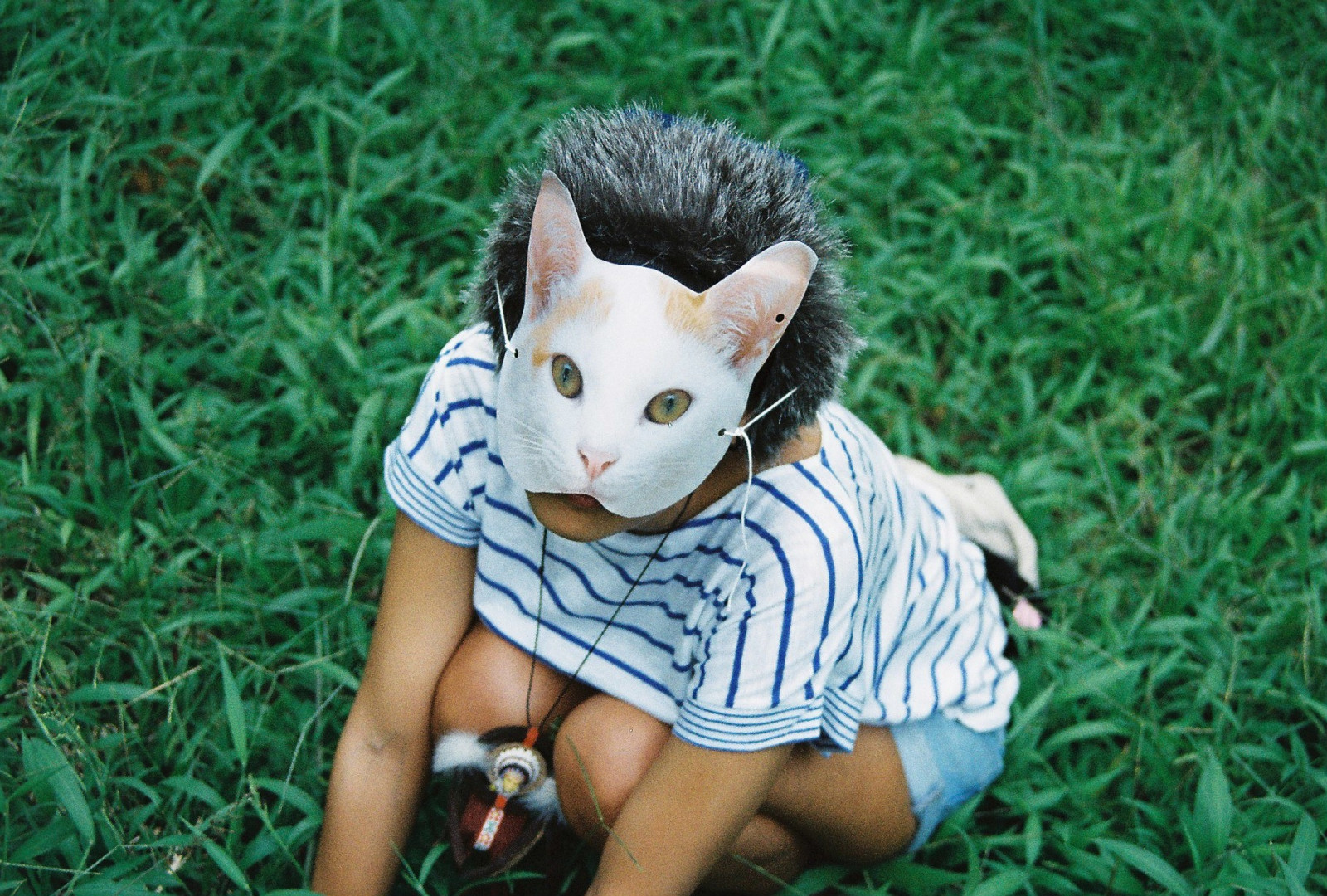 græs, kat, små til mellemstore katte, kat lignende pattedyr, whiskers, Spille