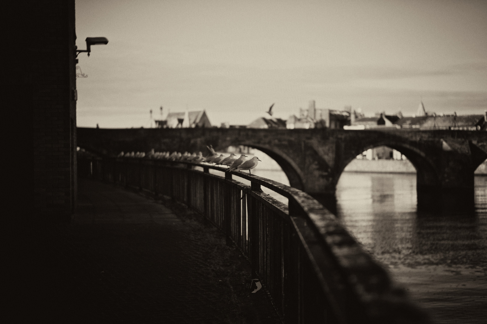 život, ulice, Leica, město, lidé, Černý a bílý, tělesné, sépie, Mono, město, Spojené království, upřímný, streetphotography, dálkoměr, Ayr, reálný život, Ayrshire, humancondition, blackandwhitephotos, 50mmsummilux, blackwhitephotos, leicam9, stephencosh