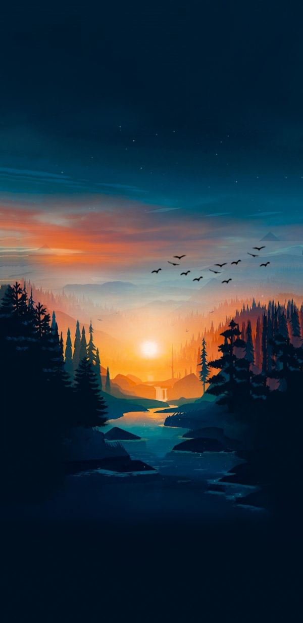 nature,forest,trees,Android operating system