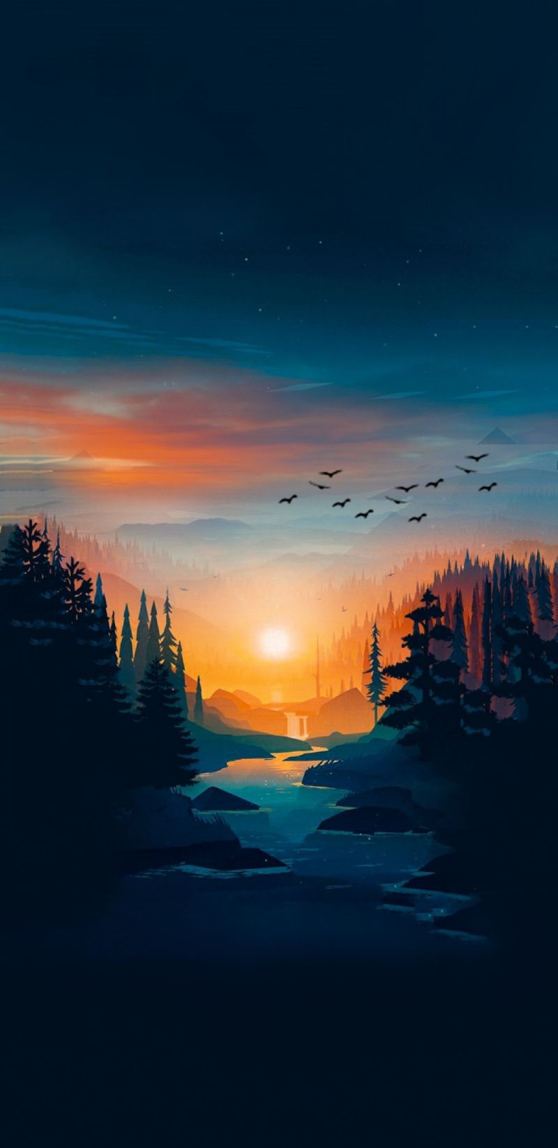 natuur,Bos,bomen,Android-besturingssysteem