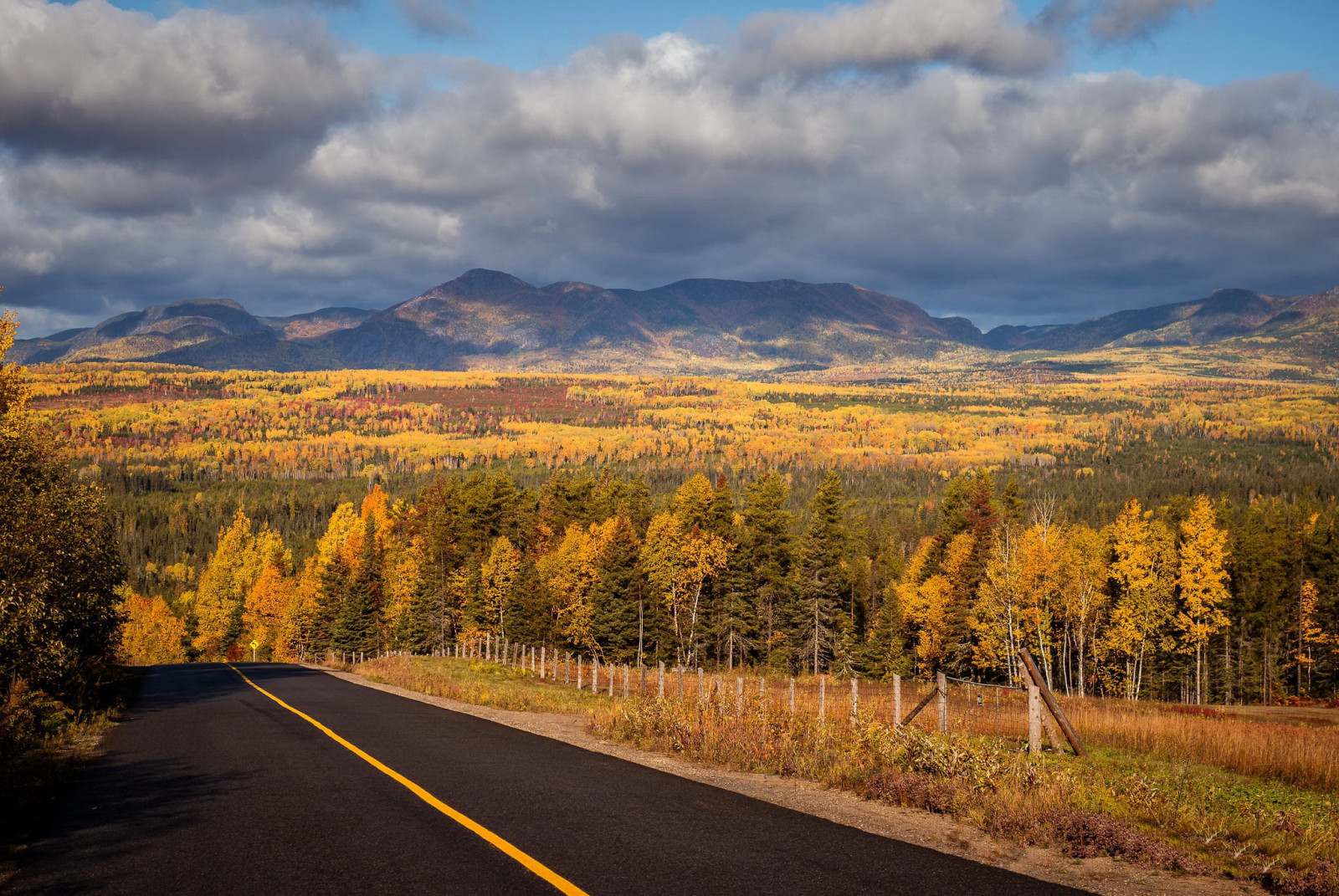 デスクトップ壁紙 秋 カナダ 道路 アスファルト 風景 自然 屋外 48x1372 Wallpapermaniac デスクトップ壁紙 Wallhere