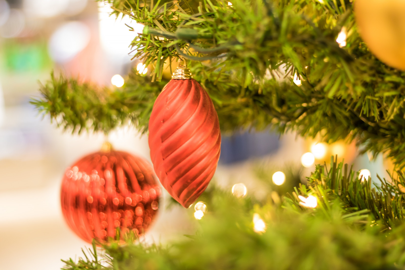 větev, Německo, Vánoční strom, Vánoce, Dovolená, jedle, strom, květ, rostlina, Vánoce, vánoční strom, julgran, vánoční trh, července, Německo, deutschland, Rostock, julmarknad, exif modelu canoneos760d, geocountry, Kamera aby kánon, geocity, Model fotoaparátu canoneos760d, geostate, geolocation, exif aby kánon, exif focallength 50mm, EXIF ef50mmf18stm čočka, EXIF otvor 20, exif isospeed 640, weinachtsmarkt, dřevina, vánoční dekorace