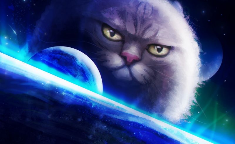 fantasy umění, umělecká díla, Snímek obrazovky, kočka, savec, počítač tapeta fantasy umění, umělecká díla, Snímek obrazovky, kočka, savec, počítač tapeta