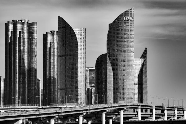 skyscraper,building,Korean,Busan,monochrome,photography
