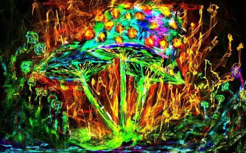 barvitý, malování, houba, psychedelic, džungle, UMĚNÍ barvitý, malování, houba, psychedelic, džungle, UMĚNÍ
