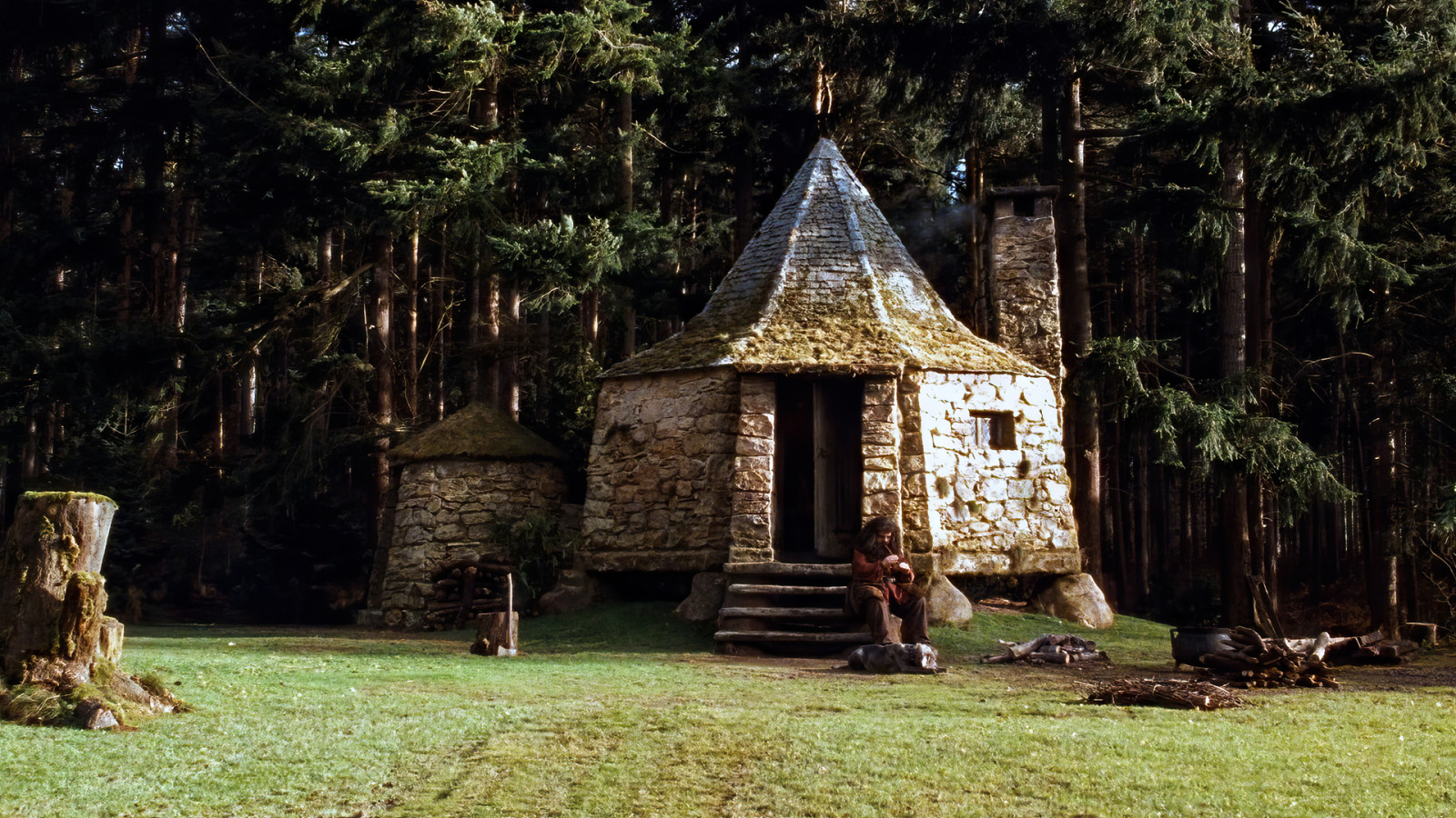 壁纸 哈利·波特与魔法石, 电影剧照, Rubeus Hagrid, Robbie Coltrane, 小屋, 草, 树木, 狗