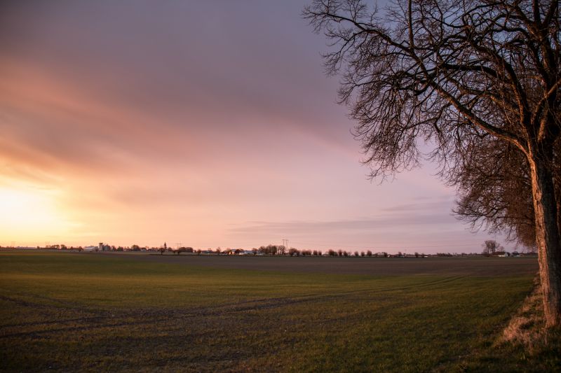 sunlight, landscape, sunset, hill, nature, grass sunlight, landscape, sunset, hill, nature, grass