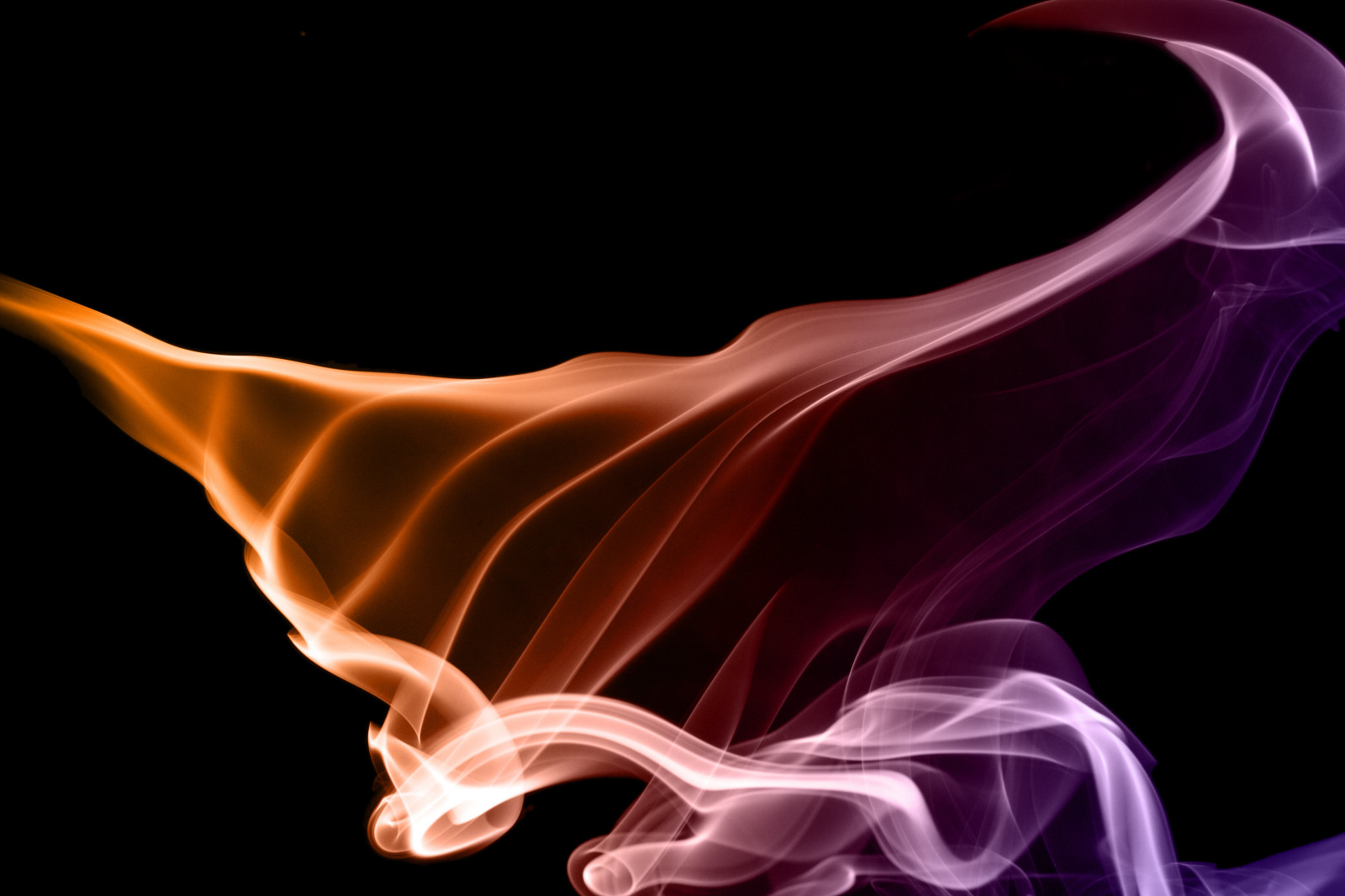 ilustrace, fotografování, spirála, kouř, makro, Pletené pásy, popel, tvary, růžový, samet, struktura, leden, 2008, UMĚNÍ, éterický, Krásná, vzory, tok, tma, tapeta na zeď, fotky, křídlo, strobist, grafika, kučera, počítač tapeta, fiktivní postava, organismus, točit, kadidlo, Blums, Ignight, Vítr, Stevewampler