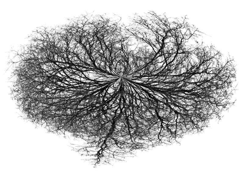 white,drawing,monochrome,branch,symmetry,circle
