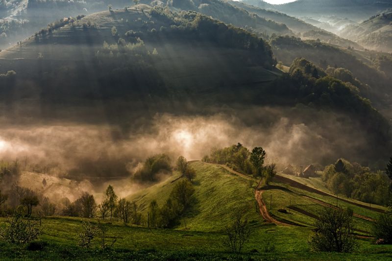 les, krajina, mlha, 2499x1665 px, tráva, světla les, krajina, mlha, 2499x1665 px, tráva, světla