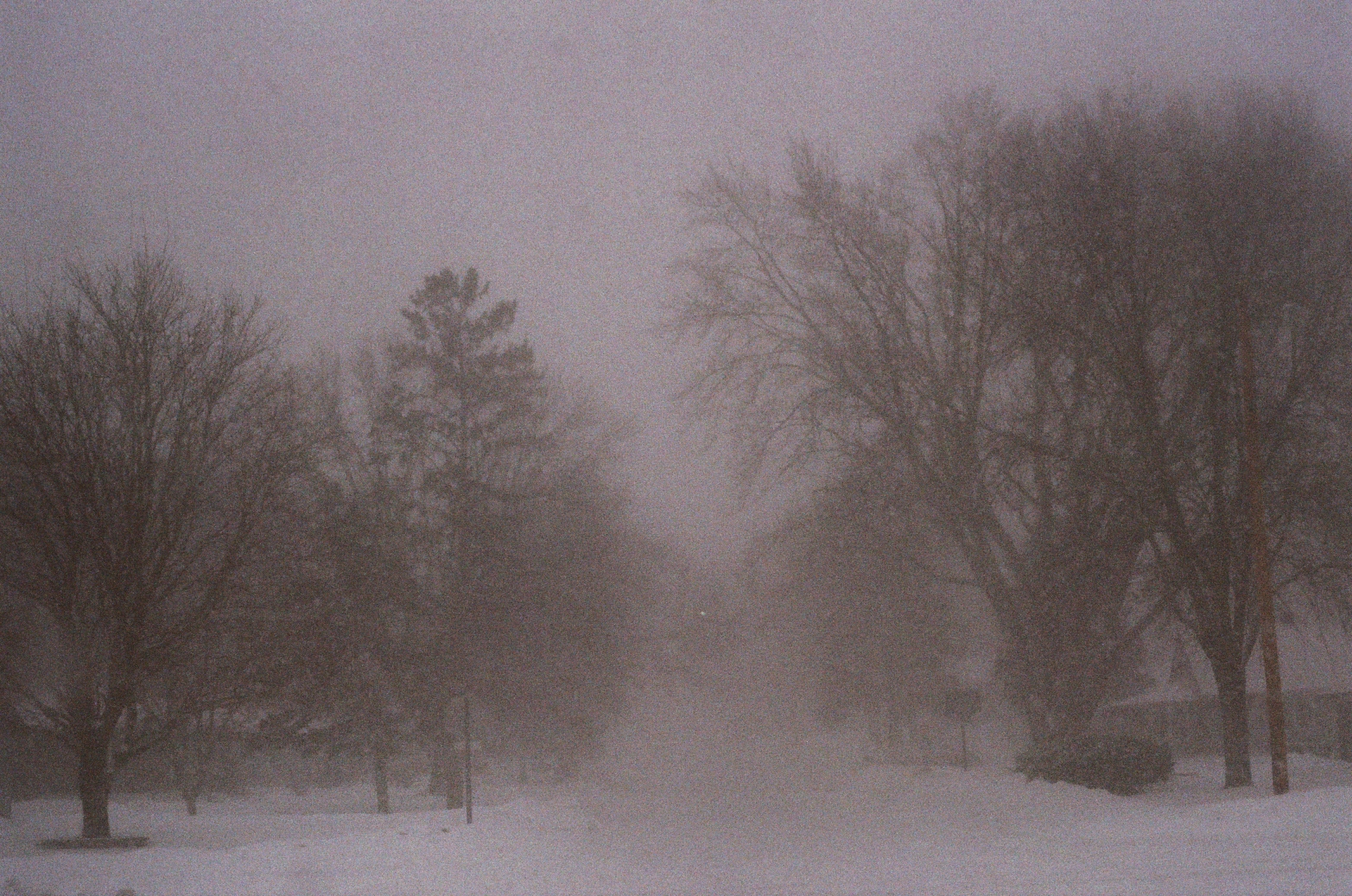 Wallpaper : film, 35MM 1565x1037 - - 963552 - HD Wallpapers - WallHere