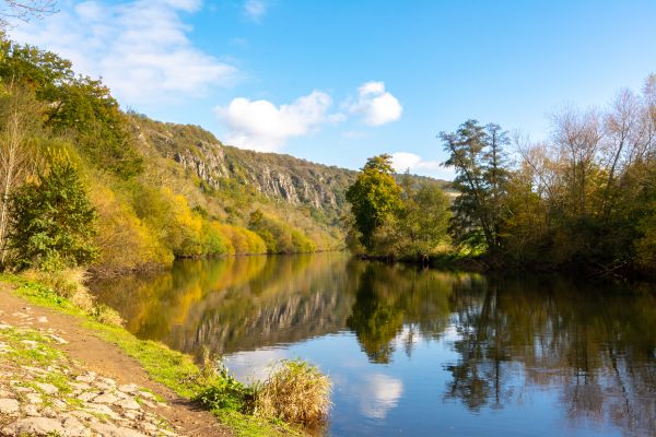nature,Autumn colours,lake,trees
