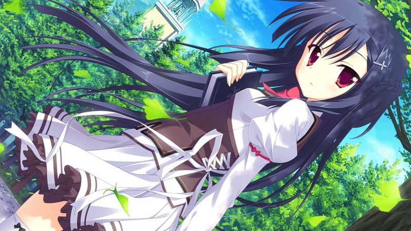 anime, Prinsesse Evangile, illustration, Anime piger, brunette, Kigger på seeren